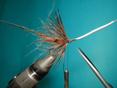 Fly tying - May fly - Step 15