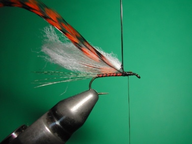 Fly tying - Paraloop with wings - Step 7