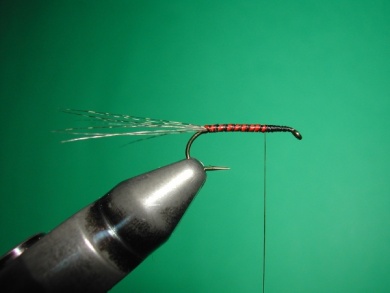 Fly tying - Paraloop with wings - Step 4