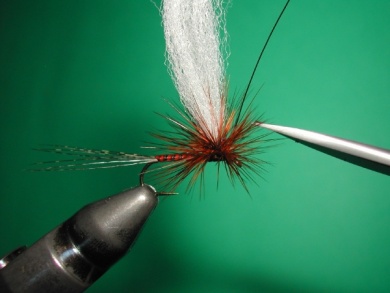 Fly tying - Paraloop with wings - Step 15