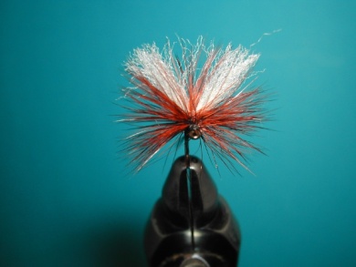 Fly tying - Paraloop with wings - Step 18
