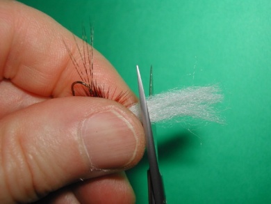 Fly tying - Paraloop with wings - Step 16