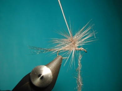 Fly tying - Paraloop without loop - Step 11