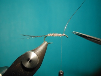Fly tying - Paraloop without loop - Step 5
