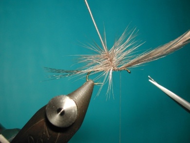 Fly tying - Paraloop without loop - Step 10