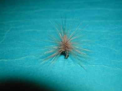 Fly tying - Paraloop without loop - Step 16