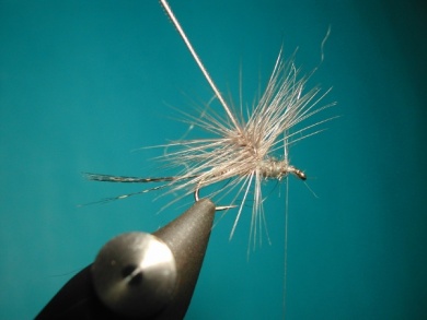 Fly tying - Paraloop without loop - Step 12