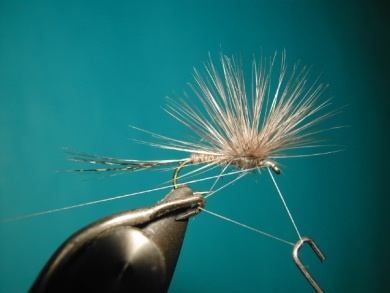 Fly tying - Paraloop without loop - Step 14