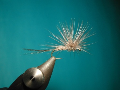 Fly tying - Paraloop without loop - Step 15