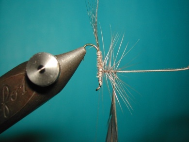 Fly tying - Paraloop without loop - Step 8