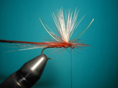 Fly tying - Parachute with rooster fiber wings - Step 8