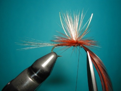 Fly tying - Parachute with rooster fiber wings - Step 9