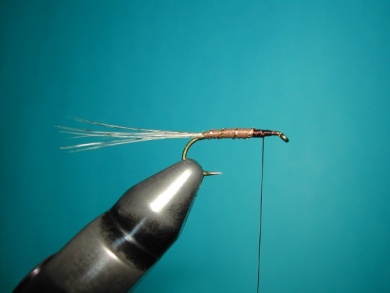 Fly tying - Parachute with rooster fiber wings - Step 1