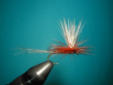 Fly tying - Parachute with rooster fiber wings - Step 12