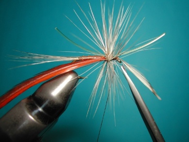 Fly tying - Parachute with rooster fiber wings - Step 6
