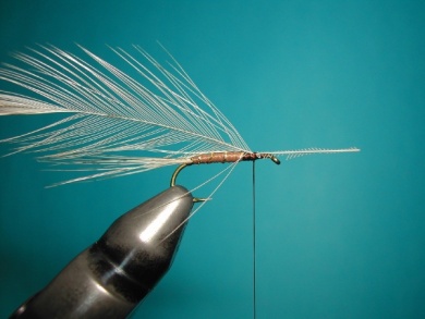 Fly tying - Parachute with rooster fiber wings - Step 2
