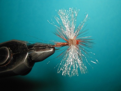 Fly tying - My parachute spent. - Step 10