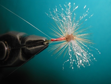 Fly tying - My parachute spent. - Step 13