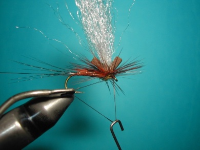 Fly tying - My parachute spent. - Step 7