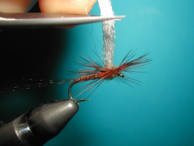 Fly tying - My parachute spent. - Step 9