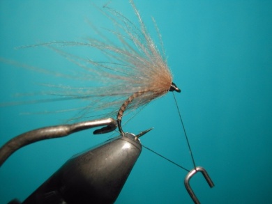 Fly tying - Valtellina spider - Step 6