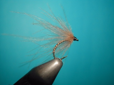 Fly tying - Valtellina spider - Step 7