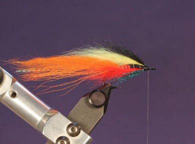 Fly tying - TDF Ghillie  - Step 8