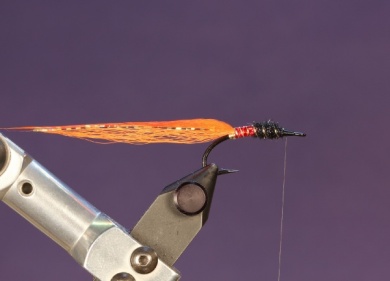 Fly tying - TDF Ghillie  - Step 6