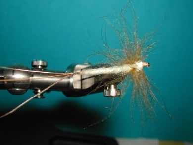 Fly tying - May fly spent - Step 9