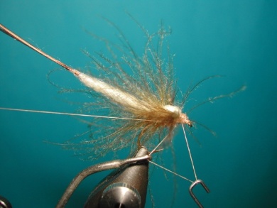 Fly tying - May fly spent - Step 7
