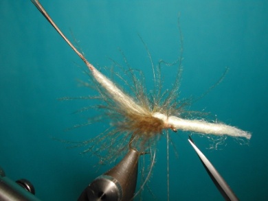 Fly tying - May fly spent - Step 6