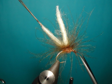 Fly tying - May fly spent - Step 5