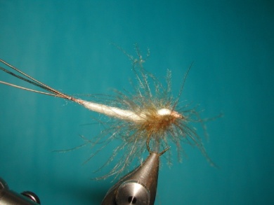 Fly tying - May fly spent - Step 8