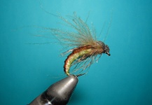 Caddis emerger