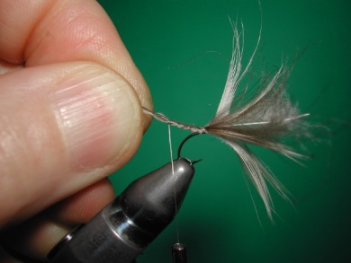Fly tying - Duck & CDC fly - Step 5