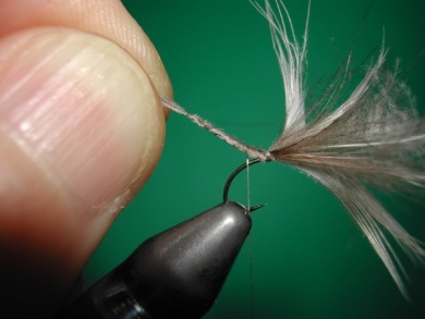 Fly tying - Duck & CDC fly - Step 6