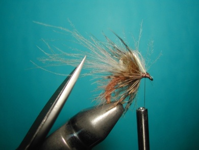 Fly tying - Caddis emerger CDC body. - Step 13