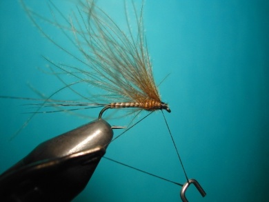 Fly tying - Self Split hackle fly - Step 6