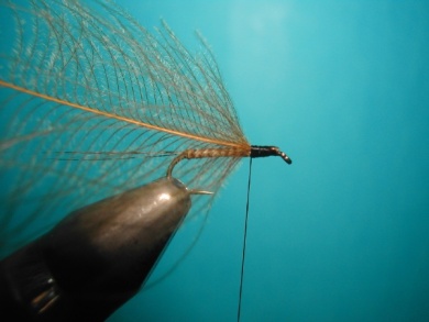 Fly tying - Self Split hackle fly - Step 3