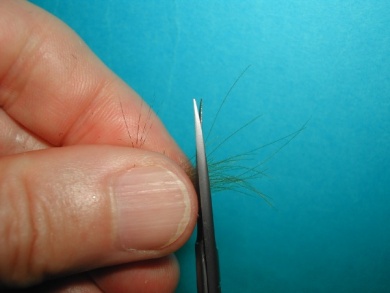 Fly tying - Self Split hackle fly - Step 7