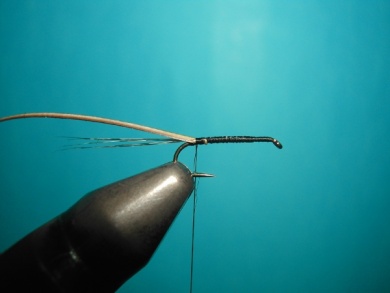 Fly tying - Self Split hackle fly - Step 1