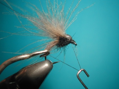 Fly tying - Upset hackle. - Step 10