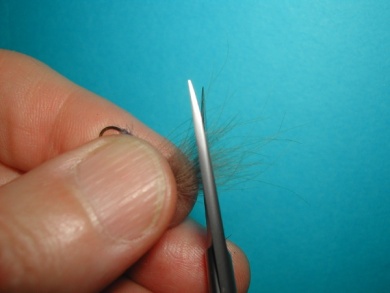 Fly tying - Upset hackle. - Step 11