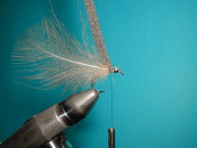 Fly tying - Upset hackle. - Step 4