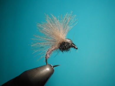 Fly tying - Upset hackle. - Step 12