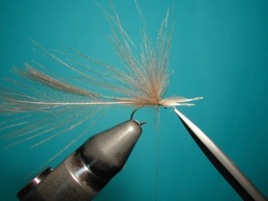 Fly tying - Mirage spent - Step 4