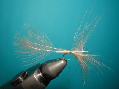 Fly tying - Mirage spent - Step 2