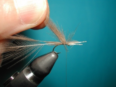 Fly tying - Mirage spent - Step 3