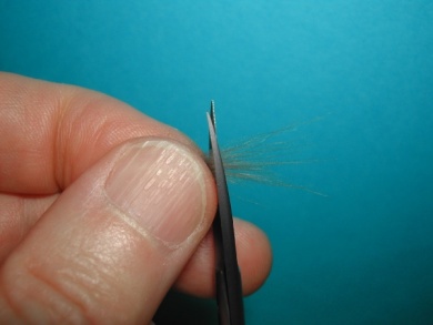 Fly tying - Mirage spent - Step 9