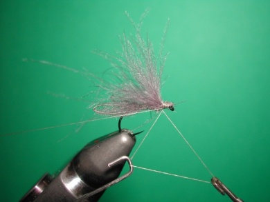 Fly tying - Speedy midge - Step 7